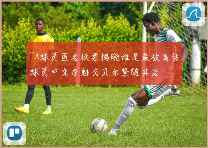 TA球员匿名投票揭晓谁是最被高估球员申京夺魁戈贝尔紧随其后