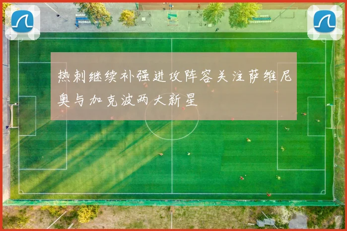 热刺继续补强进攻阵容关注萨维尼奥与加克波两大新星